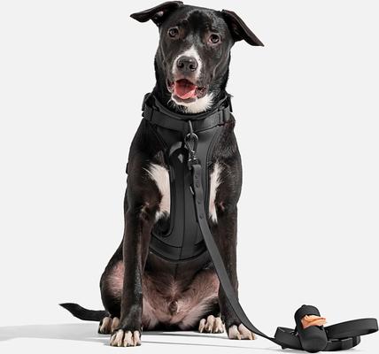 Show full view: Wild One Adjustable Waterproof Flex-Poly Coated Nylon Leash, Black, Standard slide 3 of 6