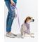 Show in main carousel: Wild One Adjustable Waterproof Flex-Poly Coated Nylon Leash, Lilac, Small slide 3 of 7