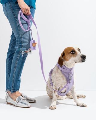 Show full view: Wild One Adjustable Waterproof Flex-Poly Coated Nylon Leash, Lilac, Small slide 3 of 7