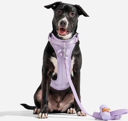 Show full view: Wild One Adjustable Waterproof Flex-Poly Coated Nylon Leash, Lilac, Standard slide 3 of 7