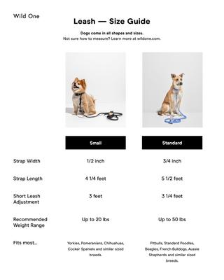 Show full view: Wild One Adjustable Waterproof Flex-Poly Coated Nylon Leash, Lunar, Small slide 8 of 11