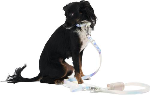 Show full view: Wild One Adjustable Waterproof Flex-Poly Coated Nylon Leash, Lunar, Small slide 5 of 11