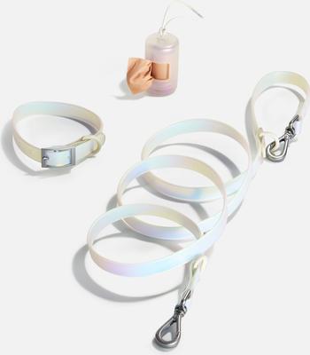 Show full view: Wild One Adjustable Waterproof Flex-Poly Coated Nylon Leash, Lunar, Small slide 2 of 11