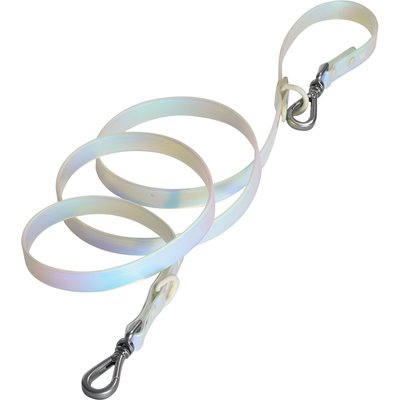 Wild One Wild One Adjustable Waterproof Flex-Poly Coated Nylon Leash, Lunar, Standard