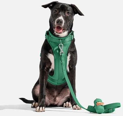 Show full view: Wild One Adjustable Waterproof Flex-Poly Coated Nylon Leash, Spruce, Standard slide 3 of 7