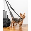 Show in main carousel: Wild One Airline Approved Breathable Mesh Travel Bag Dog Carrier, 17.5-in, Black slide 5 of 9