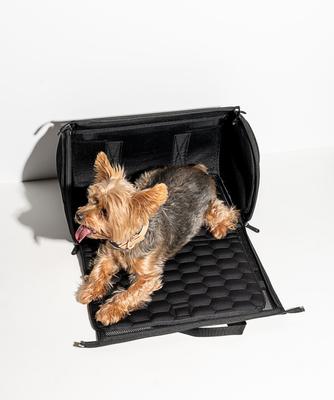 Show full view: Wild One Airline Approved Breathable Mesh Travel Bag Dog Carrier, 17.5-in, Black slide 4 of 10