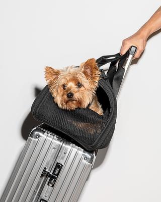 Show full view: Wild One Airline Approved Breathable Mesh Travel Bag Dog Carrier, 17.5-in, Black slide 5 of 10