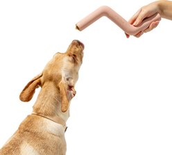 Wild One Bolt Bite Dog Chew Toy, Pink slide 2 of 8