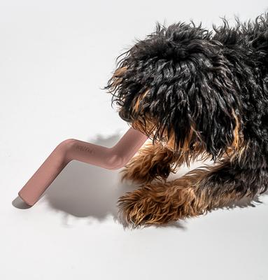 Show full view: Wild One Bolt Bite Dog Chew Toy, Pink slide 7 of 10