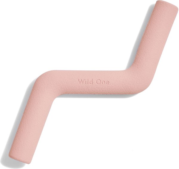 Wild One Bolt Bite Dog Chew Toy