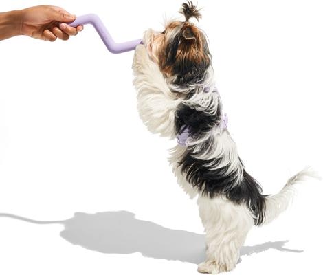 Show full view: Wild One Bolt Bite Small Chew Dog Toy, Lilac slide 5 of 6