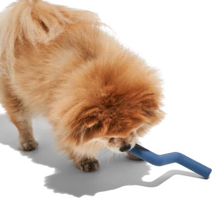 Show full view: Wild One Bolt Bite Small Chew Dog Toy, Navy slide 4 of 5