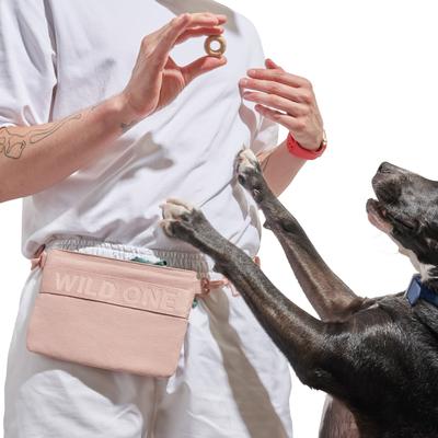 Show full view: Wild One Cotton Dog Treat Pouch, Pink slide 3 of 5