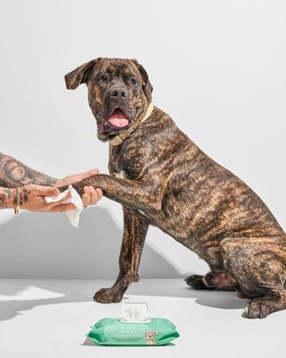 Show full view: Wild One Dog Grooming Wipes, 70 count slide 6 of 8