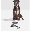 Show in main carousel: Wild One Hands-Free Adjustable Rope Dog Leash, Standard: 4 1/3 to 8 1/2-ft long, 1/2-in wide, Black slide 6 of 9