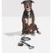Show in main carousel: Wild One Hands-Free Adjustable Rope Dog Leash, Standard: 4 1/3 to 8 1/2-ft long, 1/2-in wide, Black slide 7 of 10