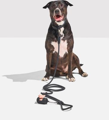 Show full view: Wild One Hands-Free Adjustable Rope Dog Leash, Standard: 4 1/3 to 8 1/2-ft long, 1/2-in wide, Black slide 7 of 10
