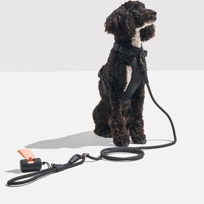 Show full view: Wild One Hands-Free Adjustable Rope Dog Leash, Standard: 4 1/3 to 8 1/2-ft long, 1/2-in wide, Black slide 6 of 10