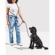 Show in main carousel: Wild One Hands-Free Adjustable Rope Dog Leash, Standard: 4 1/3 to 8 1/2-ft long, 1/2-in wide, Black slide 3 of 9