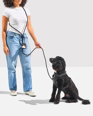 Wild One Hands-Free Adjustable Rope Dog Leash, Standard: 4 1/3 to 8 1/2-ft long, 1/2-in wide