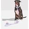 Show in main carousel: Wild One Hands-Free Adjustable Rope Dog Leash, Standard: 4 1/3 to 8 1/2-ft long, 1/2-in wide, Lilac slide 7 of 10