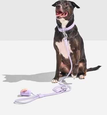 Show full view: Wild One Hands-Free Adjustable Rope Dog Leash, Standard: 4 1/3 to 8 1/2-ft long, 1/2-in wide, Lilac slide 7 of 10