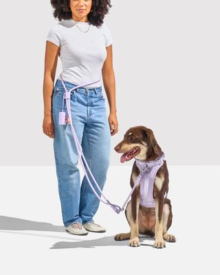 Show full view: Wild One Hands-Free Adjustable Rope Dog Leash, Standard: 4 1/3 to 8 1/2-ft long, 1/2-in wide, Lilac slide 4 of 10