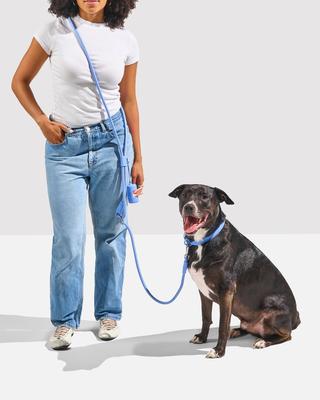 Show full view: Wild One Hands-Free Adjustable Rope Dog Leash, Standard: 4 1/3 to 8 1/2-ft long, 1/2-in wide, Moonstone slide 4 of 9