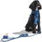 Show in main carousel: Wild One Hands-Free Adjustable Rope Dog Leash, Standard: 4 1/3 to 8 1/2-ft long, 1/2-in wide, Navy slide 6 of 9