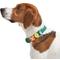 Show in main carousel: Wild One Leash & Collar Flair Silicone Dog & Cat ID Tag, Standard, 5 count, Groovy slide 8 of 10
