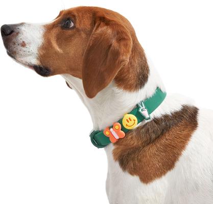 Show full view: Wild One Leash & Collar Flair Silicone Dog & Cat ID Tag, Standard, 5 count, Groovy slide 8 of 10