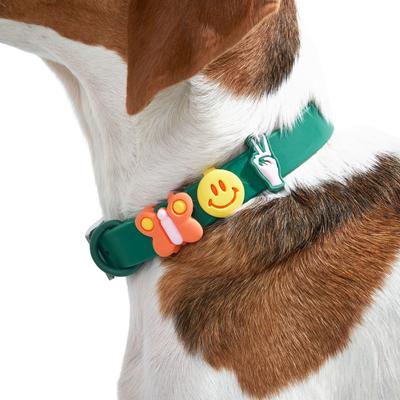 Show full view: Wild One Leash & Collar Flair Silicone Dog & Cat ID Tag, Standard, 5 count, Groovy slide 9 of 10
