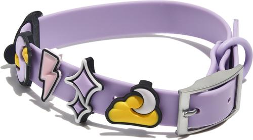 Show full view: Wild One Leash & Collar Flair Silicone Dog & Cat ID Tag, Standard, 5 count, Dream slide 1 of 9