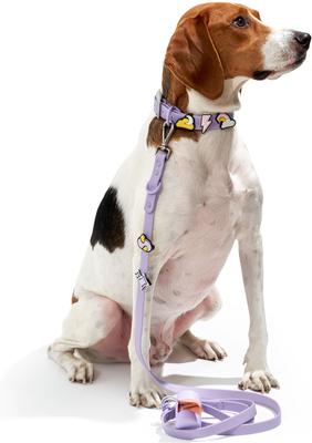 Show full view: Wild One Leash & Collar Flair Silicone Dog & Cat ID Tag, Standard, 5 count, Dream slide 8 of 9