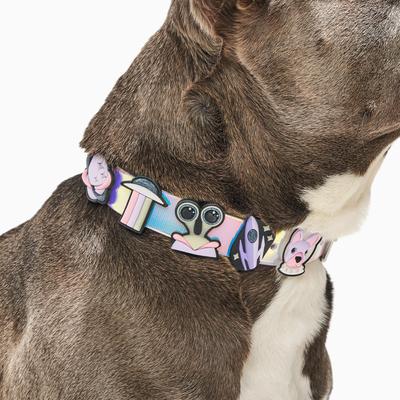 Show full view: Wild One Leash & Collar Flair Silicone Dog & Cat ID Tag, Standard, 5 count, Space slide 8 of 9