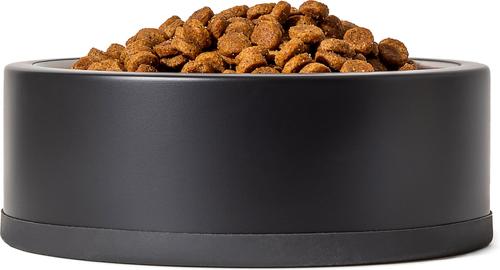 Show full view: Wild One Stainless Steel Dog Bowl, Black slide 4 of 8