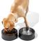 Show in main carousel: Wild One Stainless Steel Dog Bowl, Black slide 5 of 8