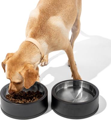 Show full view: Wild One Stainless Steel Dog Bowl, Black slide 5 of 8