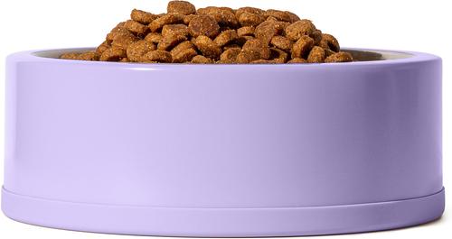 Show full view: Wild One Stainless Steel Dog Bowl, Lilac, 4-cups slide 4 of 6