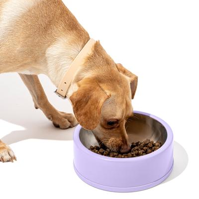 Show full view: Wild One Stainless Steel Dog Bowl, Lilac, 4-cups slide 5 of 6
