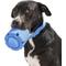 Show in main carousel: Wild One Tennis Tumble Dog Puzzle Toy, Moonstone slide 3 of 6