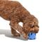 Show in main carousel: Wild One Tennis Tumble Dog Puzzle Toy, Moonstone slide 4 of 6
