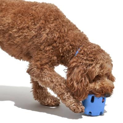 Show full view: Wild One Tennis Tumble Dog Puzzle Toy, Moonstone slide 4 of 6