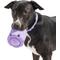 Show in main carousel: Wild One Tennis Tumble Dog Toy, Lilac slide 3 of 6