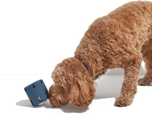 Show full view: Wild One Tennis Tumble Dog Toy, Navy slide 4 of 7