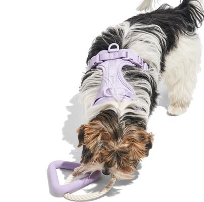 Show full view: Wild OneTriangle Tug Small Dog Toy, Lilac slide 4 of 4