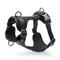 Show in main carousel: WildHound C4 No-Pull Premium Dog Harness, Black, X-Small slide 2 of 5