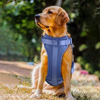 Show full view: WildHound C4 No-Pull Premium Dog Harness, Sky, X-Small slide 3 of 6