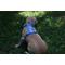 Show in main carousel: WildHound C4 No-Pull Premium Dog Harness, Sky, X-Small slide 4 of 6
